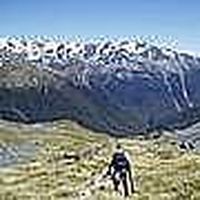 Photos de Simon Rochford