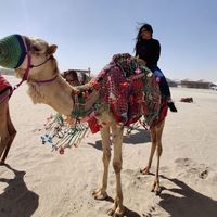 Ariuka Ganbaatar的照片