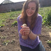 Hayley Forsythe的照片