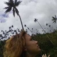 Claire O'Donnell的照片