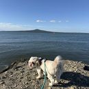 Let’s Run 🏃's picture