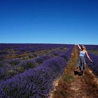 Nikee Dekker的照片