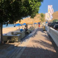 HILAL ALTAMIMI's Photo