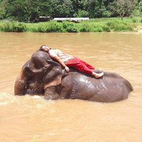 Marie-Laure Martin的照片