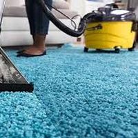 Carpet Cleaning  Labrador's Photo