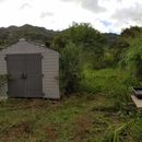 Kunia Farm campout overnight's picture