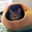 Buffalo Couchsurfing Meetup!!'s picture