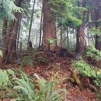 Jade Theriault's Photo