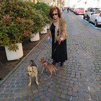 Sofia  Diamantidi's Photo