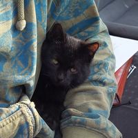 Tomasz Rabczuk's Photo