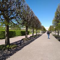 Dominika Kosowska's Photo