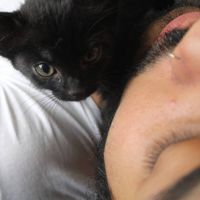 Nicolas Velasco的照片