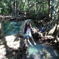 Hsu Neng Hsu's Photo