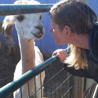 Lacey Zimmerman的照片