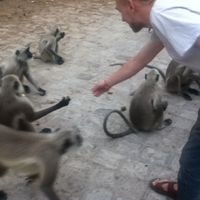 Tyler Eisan的照片