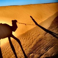 Djames Mehdi的照片