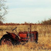 Oscar Robinson的照片