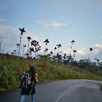 Rebeca Bermúdez's Photo