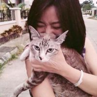 Фотографии пользователя Rattharin Intawong