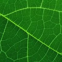 Andy Sechler's Photo