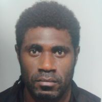 Nos wilfred的照片