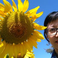 Фотографии пользователя Dao Thi Nguyen