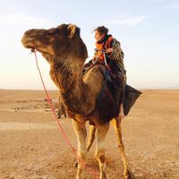 Justin Cathoz's Photo