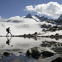 Dragan Raskovic's Photo