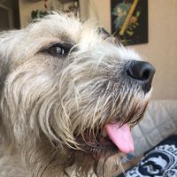 Kat Villanueva's Photo