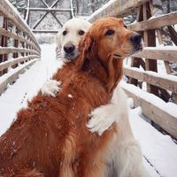 Ne Olursan Ol Yine Gel😀的照片