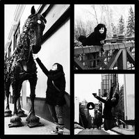 Barborka Prochazkova的照片