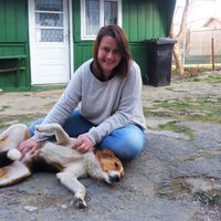 Sophie France的照片