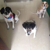 Martha Maldonado C's Photo