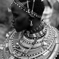 Rich Safari Tour Company's Photo