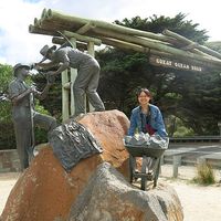 Weng Ying Tam's Photo