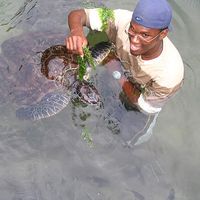 Daniel  Miya's Photo