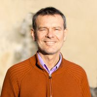 Fotos de Ion-Constantin BÎRZAN