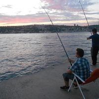 Latif Güdük的照片