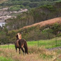 Yvonne Wollertsen's Photo