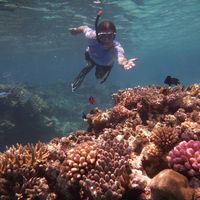 DUBALEN NICOLAS's Photo