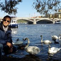 Amine travels的照片