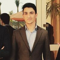 Mahmoud Braidy's Photo