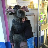 April Brown的照片