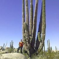 Edna Valenzuela的照片