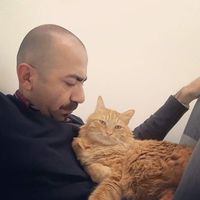 Kemal Baykalli的照片