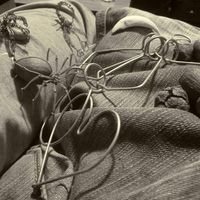 Doblando Al Hambre's Photo