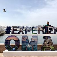 Zdjęcia użytkownika Jila Mirmoradzehi