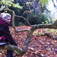 Helena Bokos的照片