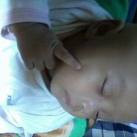 apiccart boonjun的照片