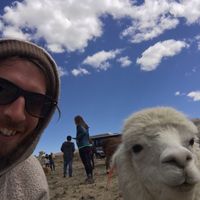 Paul Shipman的照片